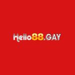 hello88gay's Photo