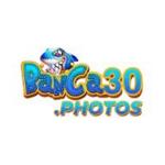 banca30photos's Photo