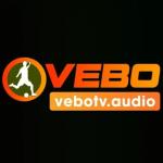 vebotvaudio's Photo