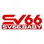 sv66baby's Photo